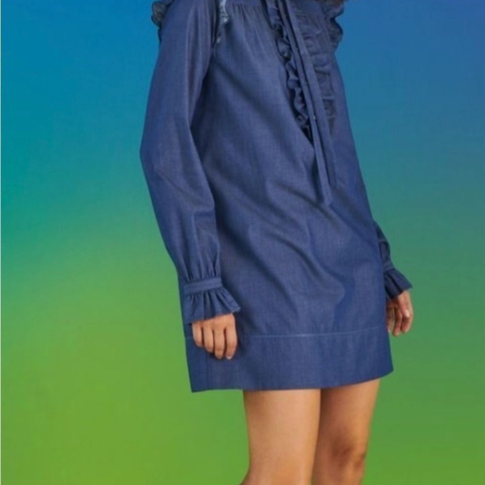 Ldt Womens Chambray Ruffled V-Neck
1/2 Button Up Shirt Shift Dress 10
Medium - Picture 3 of 14